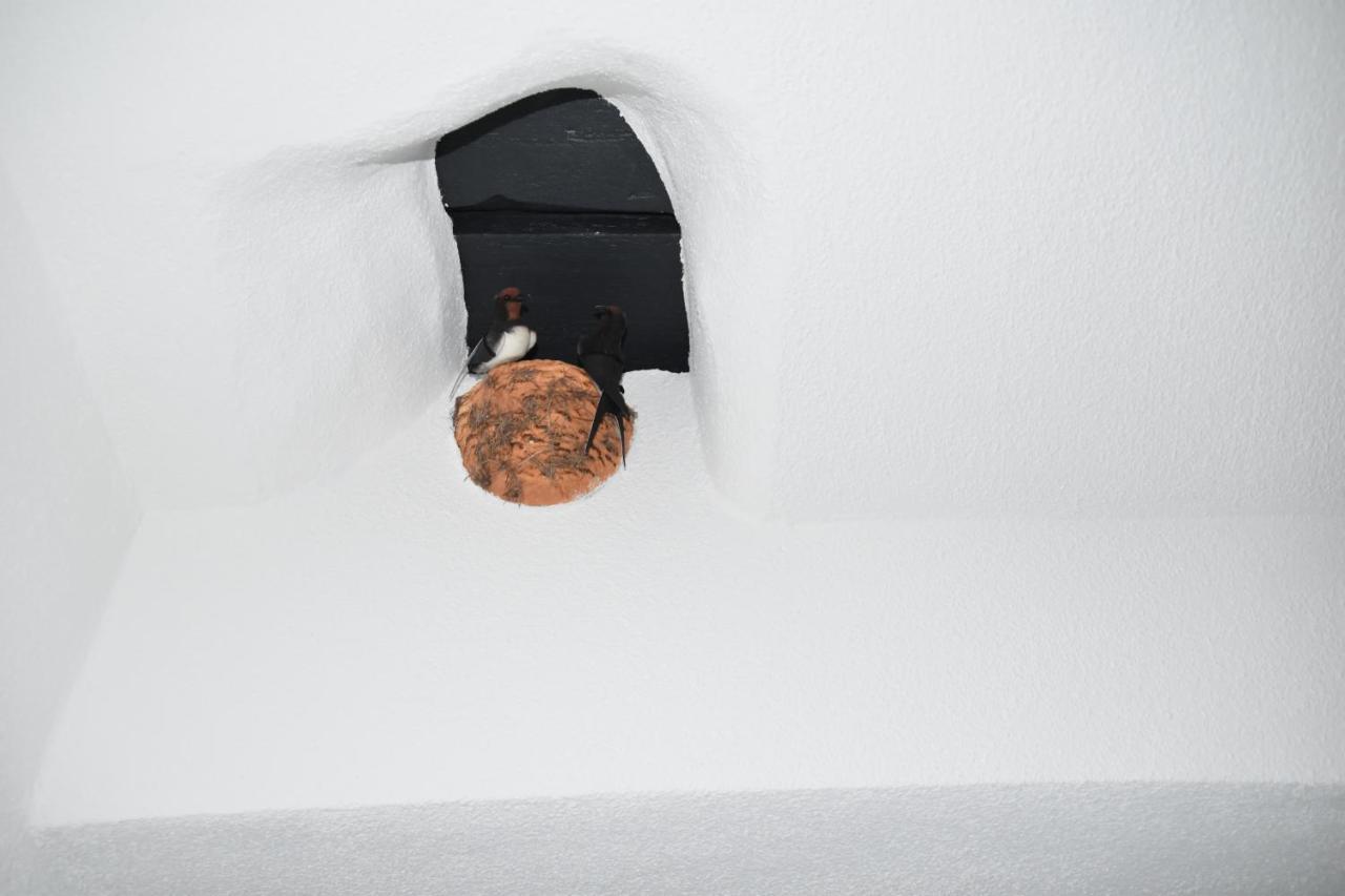 Ferienwohnung-Naurath Naurath  Exteriör bild
